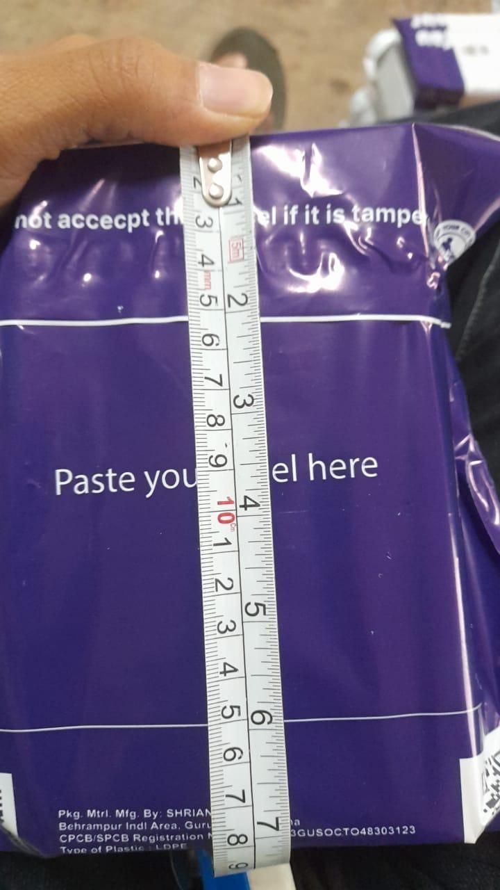 Night Fury Dragon Keychain with Sound and Light